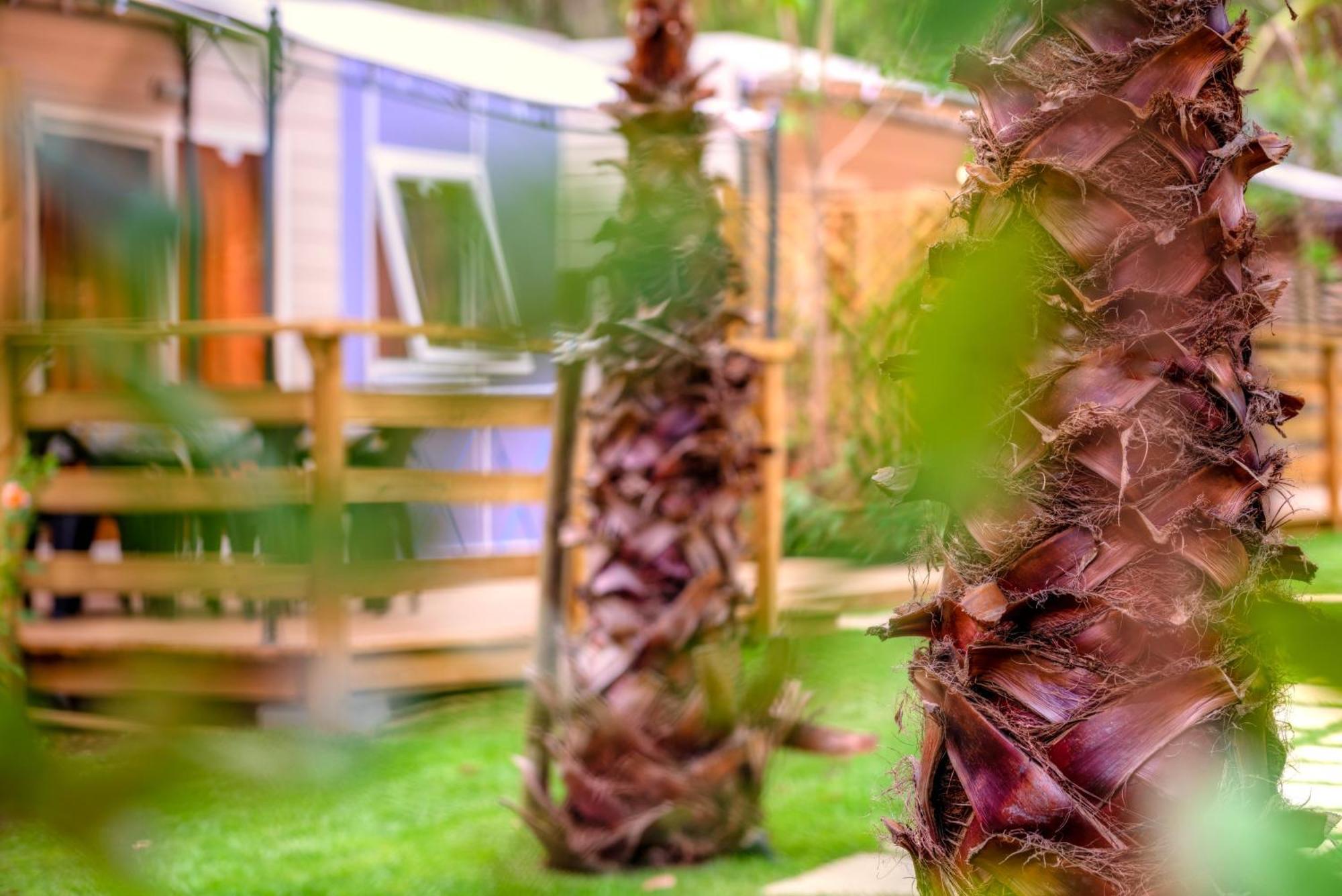 Aldeamento Turístico Delle Rose & Glamping Village 4*