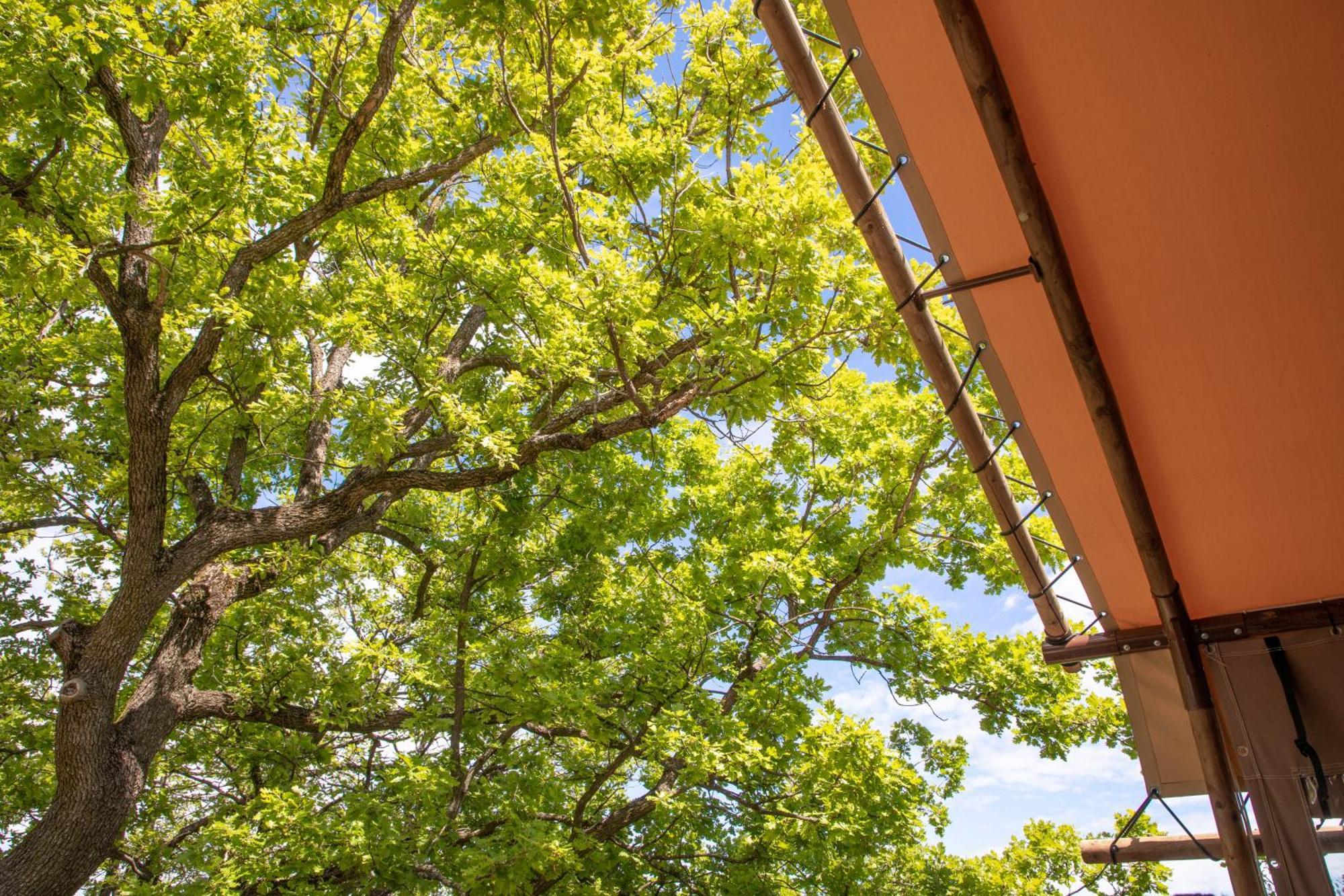 Aldeamento Turístico Delle Rose & Glamping Village 4*